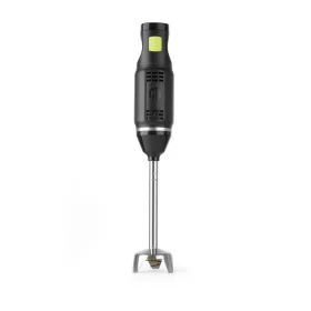 Botmixer, 6 sebességes, merülőszár 20 cm, 250 W, 