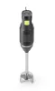 Botmixer, 6 sebességes, merülőszár 20 cm, 250 W, 