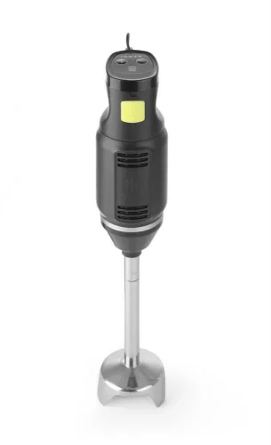 Botmixer, 6 sebességes, merülőszár 20 cm, 250 W, 