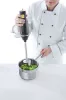 Botmixer, 6 sebességes, merülőszár 20 cm, 250 W, 