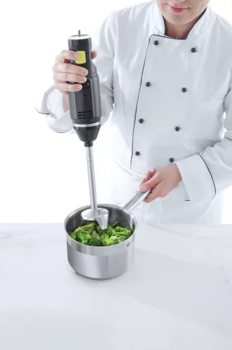 Botmixer, 6 sebességes, merülőszár 20 cm, 250 W, 